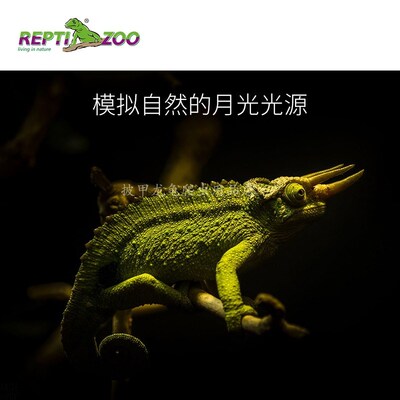 REPTIZOO乌龟晒背陆爬虫加热灯 仓鼠宠物刺猬守宫夜灯 饲养箱保温