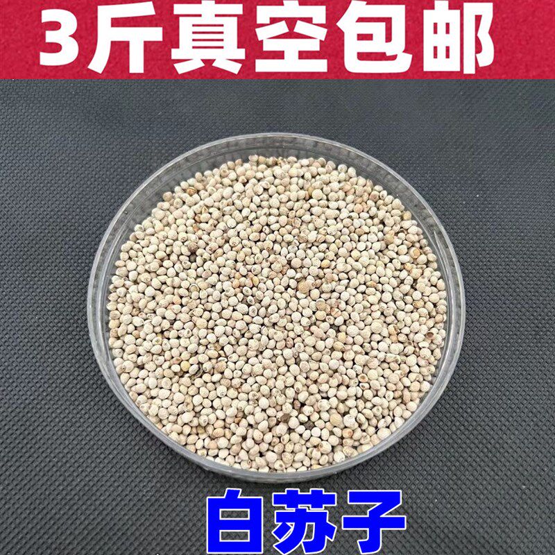 新白苏子大颗粒白苏子软鸟食鸟粮 鹦鹉金丝雀芙蓉鸟黄雀3斤真空