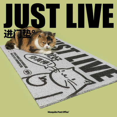 蚊字邮局  创意家用丝圈入户地垫蹭土脚垫耐脏耐磨活着回来就好W