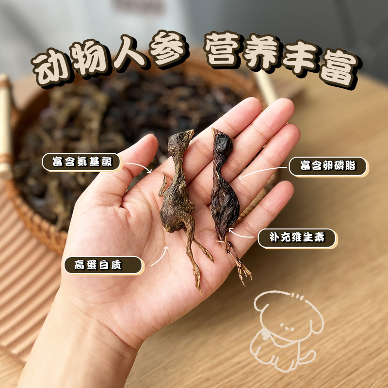 冻干鹌鹑狗狗零食小鸡仔洁齿增肥发腮生骨肉幼犬宠物幼猫营养零食
