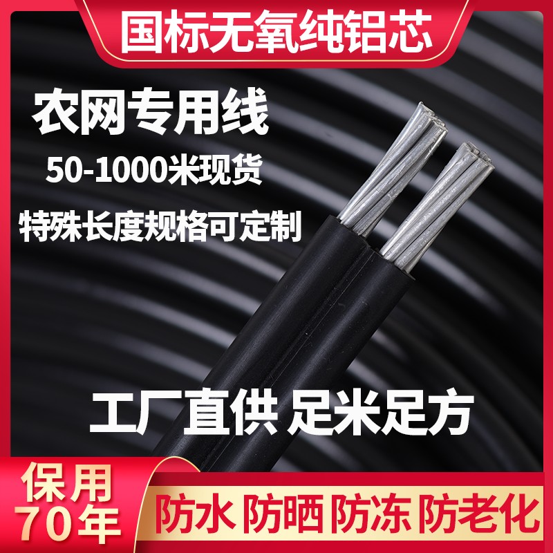 国标铝线防老化电线家用进户线2芯6/10/16平方毫米户外架空电缆线