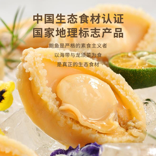 沣运无添加正品连江鲍鱼大个去内脏去腥去黑膜黄金盐磨鲍低脂礼盒