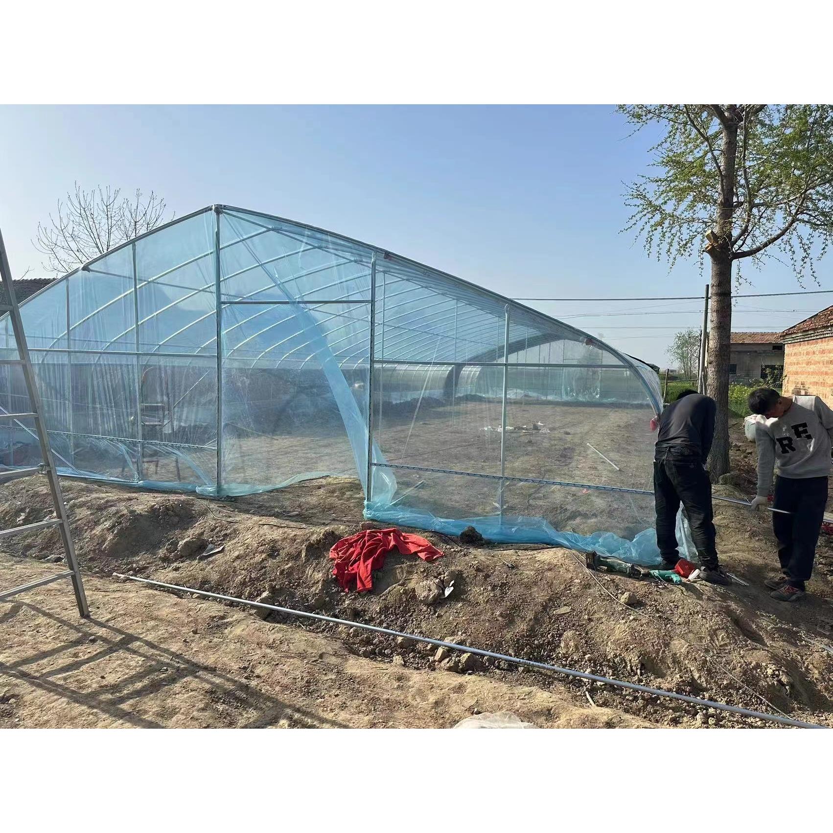 温室大棚骨架种植养殖棚草莓秧苗镀锌钢管家用蔬菜单体抗压全套