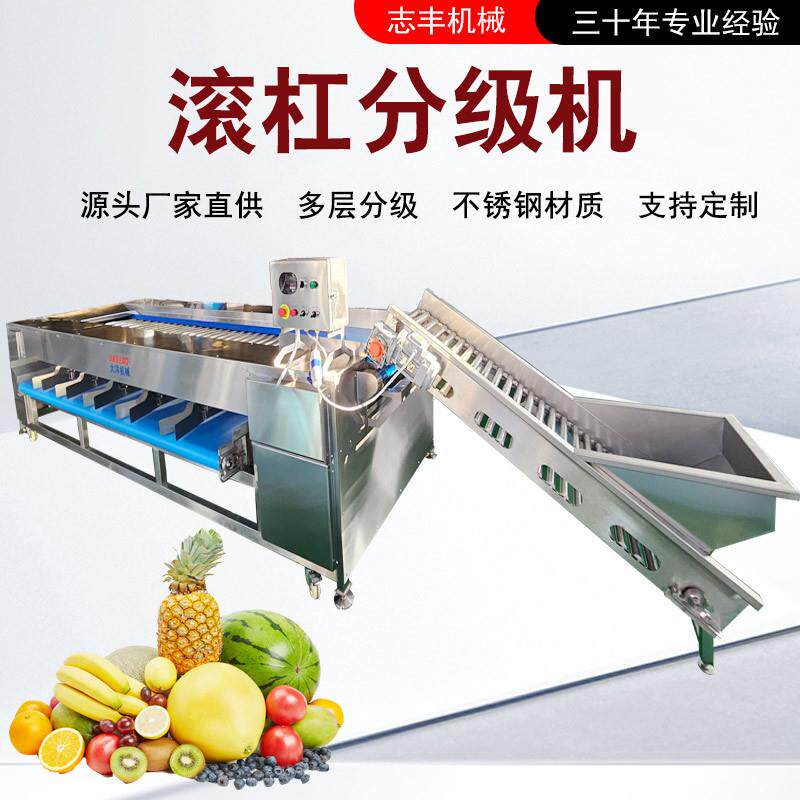 滚杠分级机大蒜分选设备分选尺寸可定制输送速度可调橙子分级设备