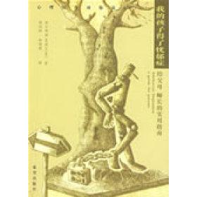 【正版书包邮】我的孩子得了忧郁症孟迪尔信昭望出版社