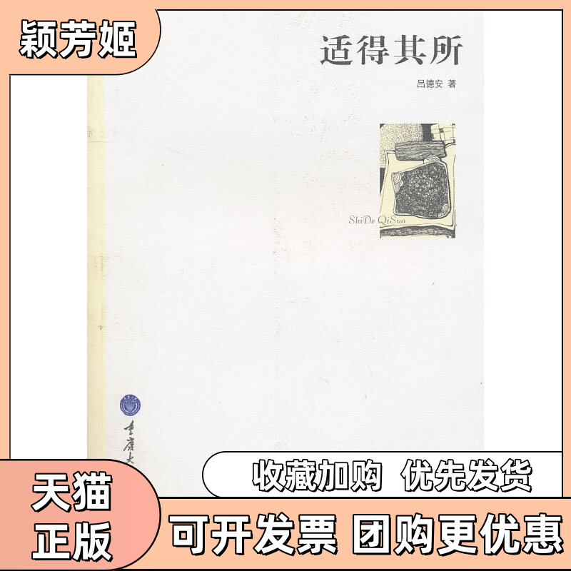 【正版书包邮】适得其所吕德安重庆大学出版社