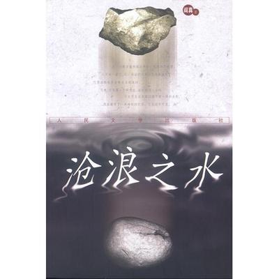 【正版书包邮】沧浪之水阎真人民文学出版社