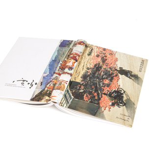 【正版书包邮】贾樟柯的世界让米歇尔付东广西师范大学出版社