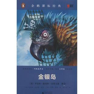 【正版书包邮】金银岛罗伯特路易斯史蒂文森乔伊斯法拉第改写肖恩海登崔丹丹广西师范大学出版社