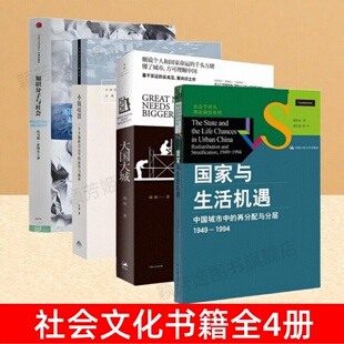 【4册任选】国家与生活机遇+大国大城+小镇喧嚣+知识分子与社会 周雪光陆铭吴毅托马斯索维尔著 社会文化书籍