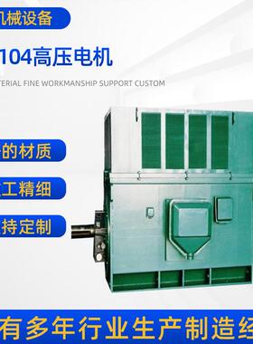 厂家供应臻选电机YR7104-4高压电机4000W6000V6V1500rpm