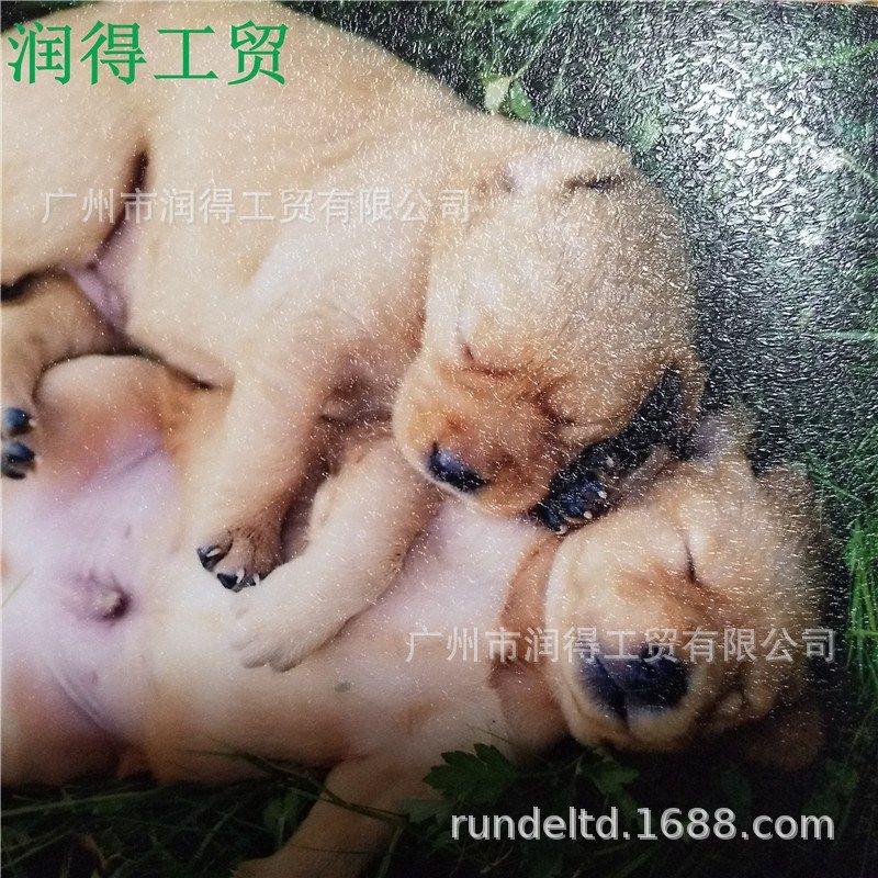 2805钻石相之宝冷裱膜PVC雪花哑光膜影楼相片广告自粘保护膜