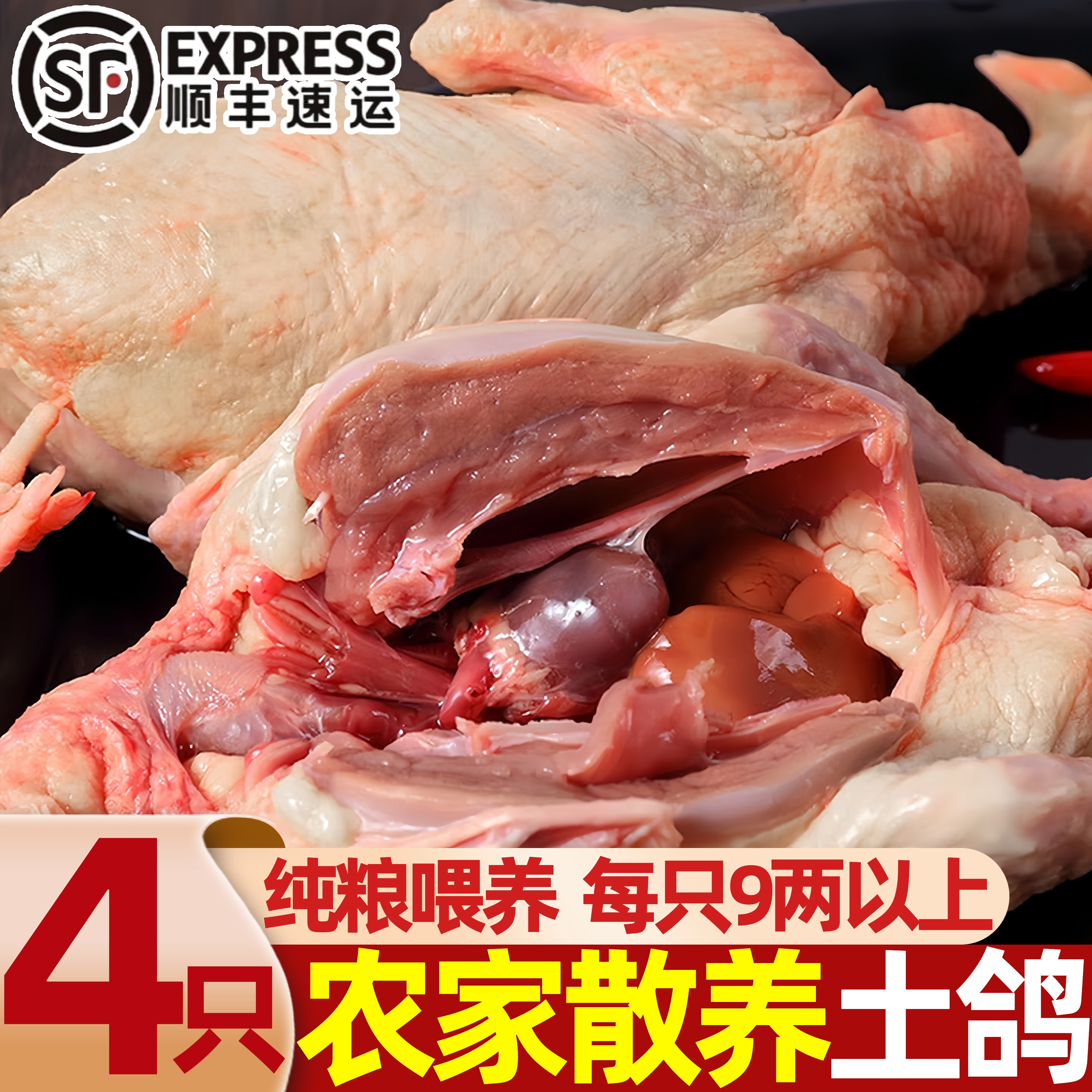 新鲜现杀农家散养土鸽