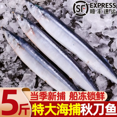 深海特大海捕秋刀鱼冷冻烧烤批发