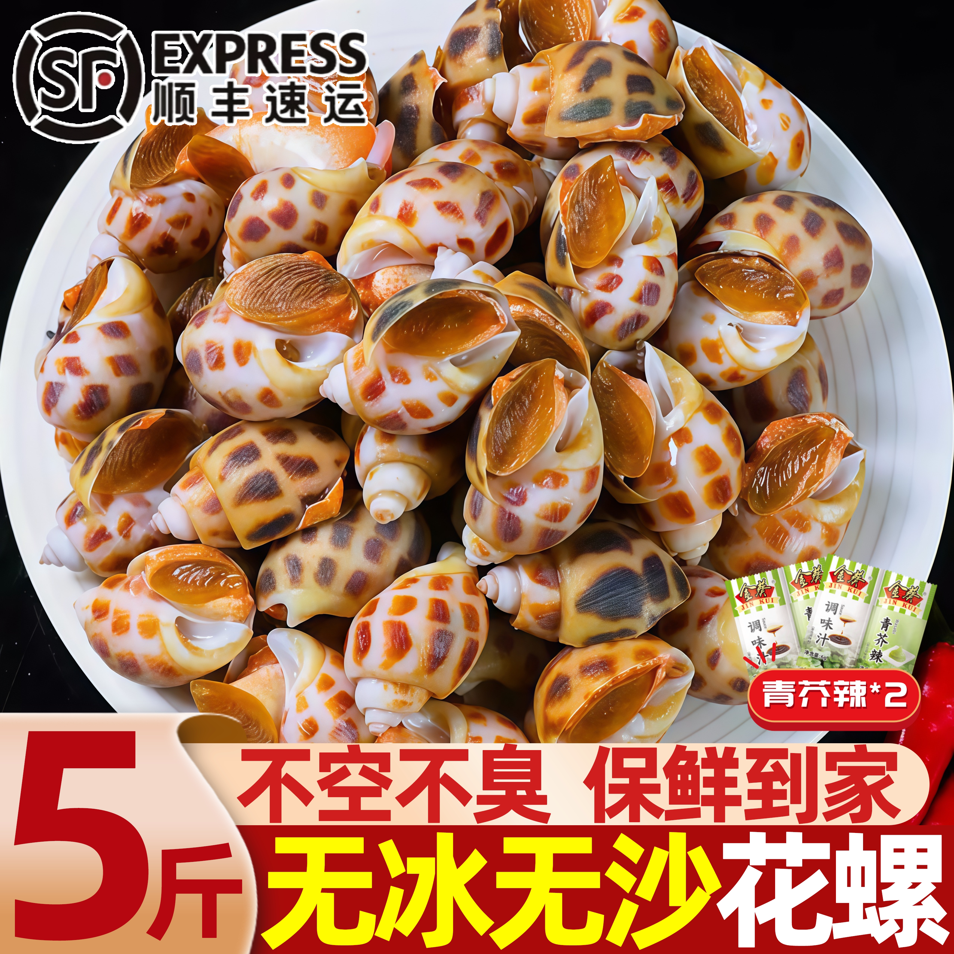 北海鲜冻特大无沙东风螺批发