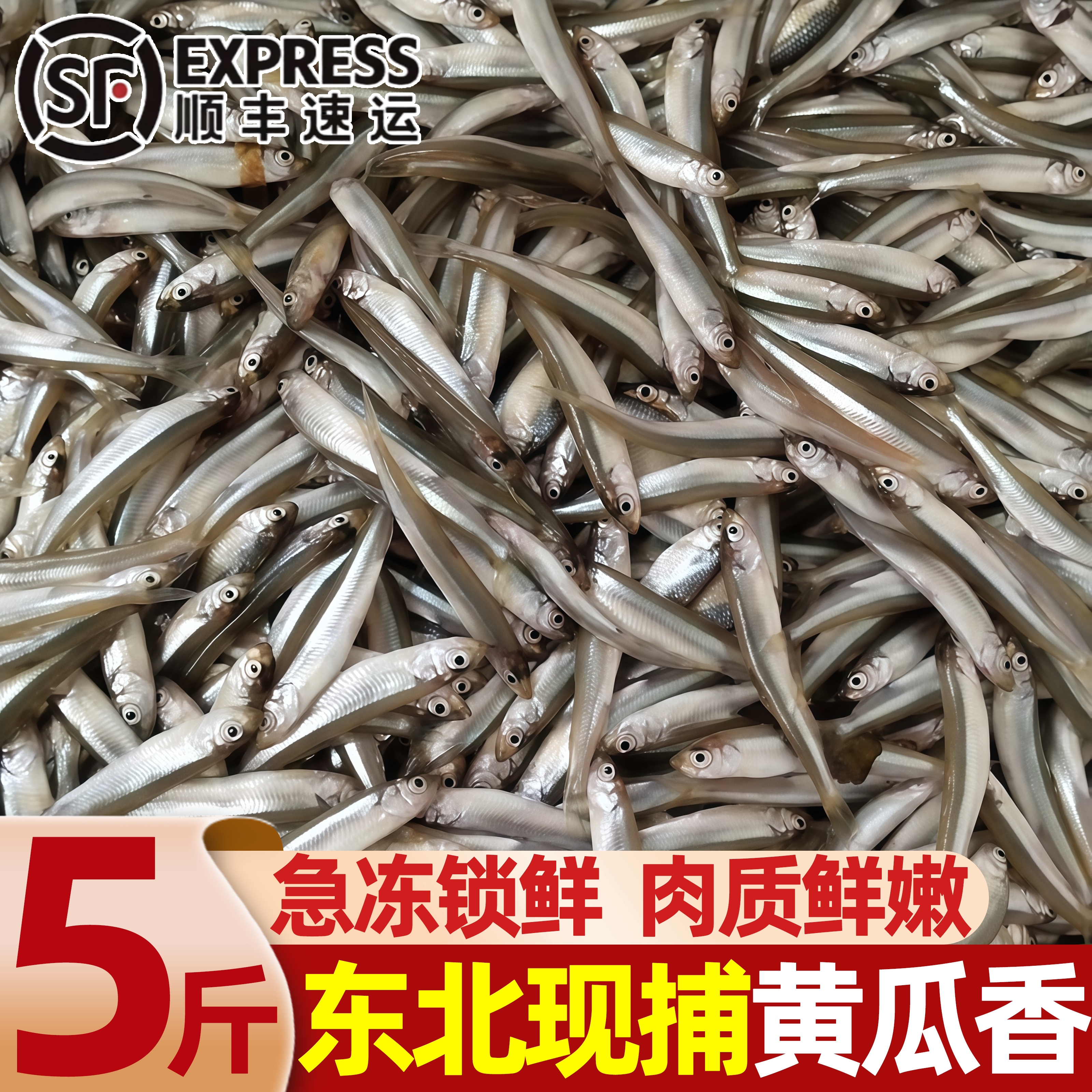 正宗东北黄瓜香小公鱼淡水新鲜