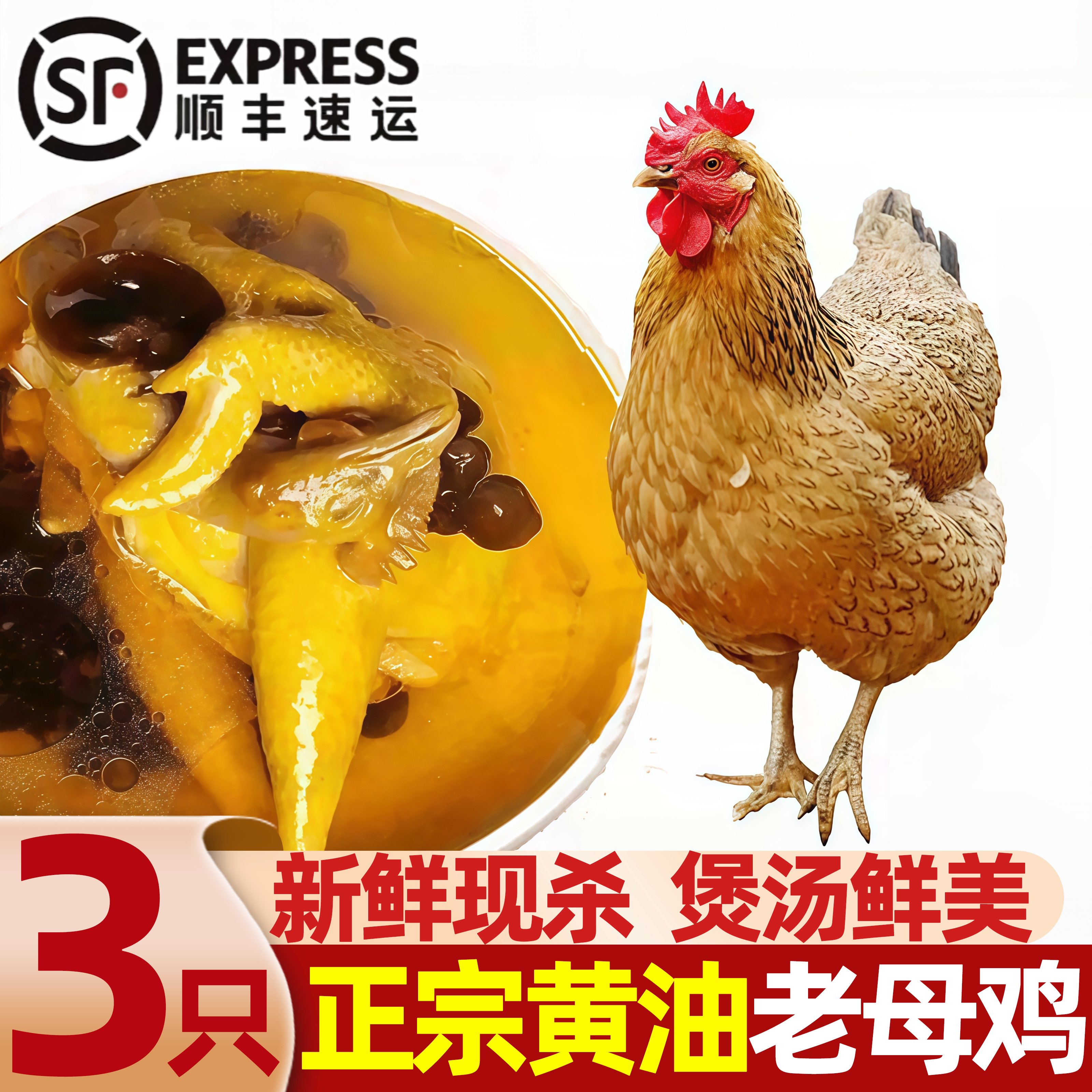 正宗三年老母鸡散养现杀炖汤
