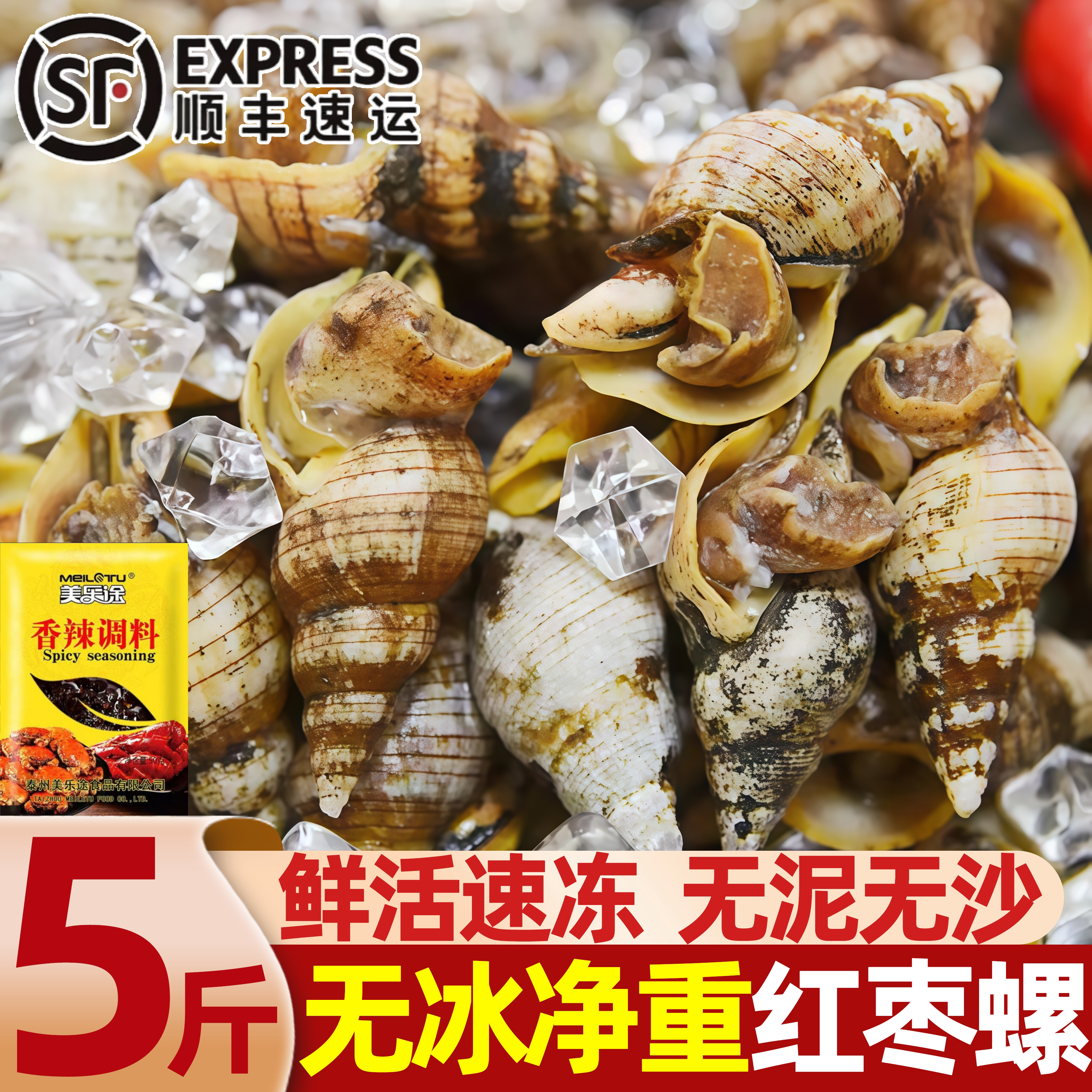 贝贝螺丹东新鲜速冻海螺