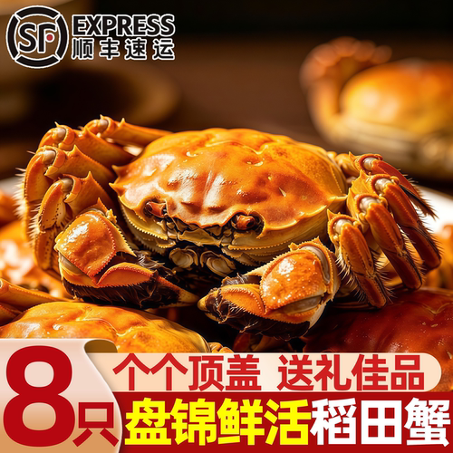 盘锦鲜活整只大闸蟹礼盒顺丰