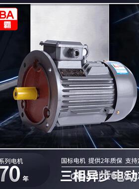 2/4/6极交流三相异步电动机308VYE3/Y3系列纯铜线马达22w电机