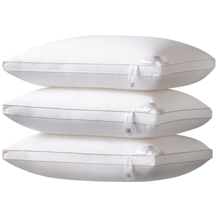 枕头一对装带枕j套家用不塌陷不变形助睡眠枕芯双人护颈抗菌整头