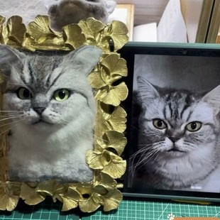 【宠物定制】羊毛毡手工s狗狗猫咪家庭装饰摆件送女友怀念相框礼