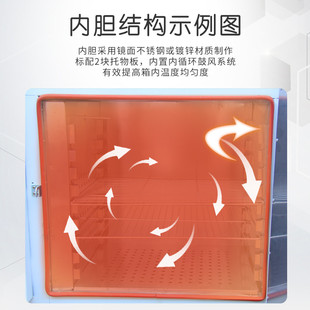 电热恒温鼓风干燥箱实验室小型y烘箱工业高温烤箱烘干箱食品烘干