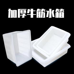 19EK加厚牛筋水箱塑料桶长方形大容量养鱼卖鱼养殖水箱家用储水桶