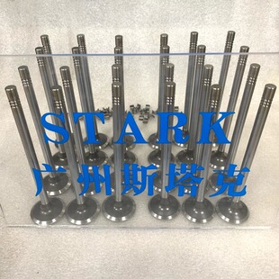 进排气门 D19TCID1发动机气门 云内D19 D19TCIE2