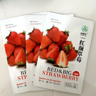 白雪公主草莓苗种子盆栽南北种植当年结果食用牛奶草莓阳台水果苗