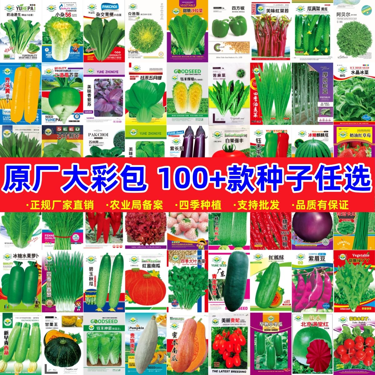 蔬菜种子组合装四季播阳台农家庭院盆栽辣椒番茄黄瓜韭菜香菜籽图片