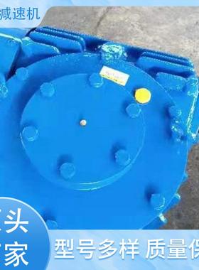 非标WD蜗轮蜗杆减速箱RV110涡杆减速机WHS圆柱齿轮涡杆减速机