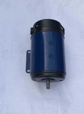 110SZ04直流电机直流伺服电动机110SZ200W220V3000r/min(rpm)