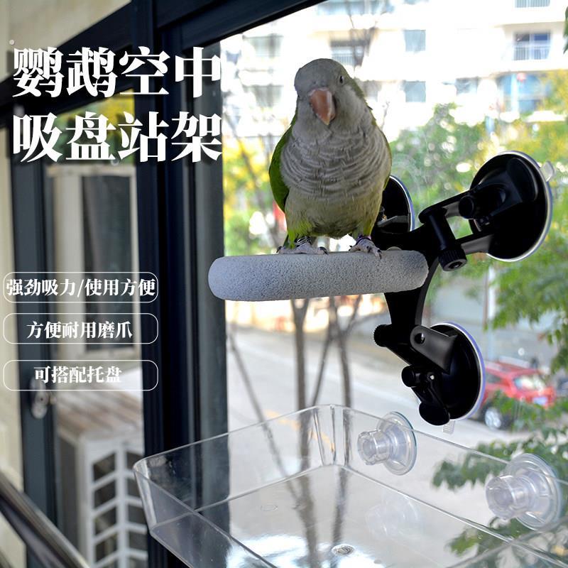 鹦鹉吸盘站杆定点排便站架玄凤牡丹磨爪站台车载玻璃站棍鸟磨爪棒图片
