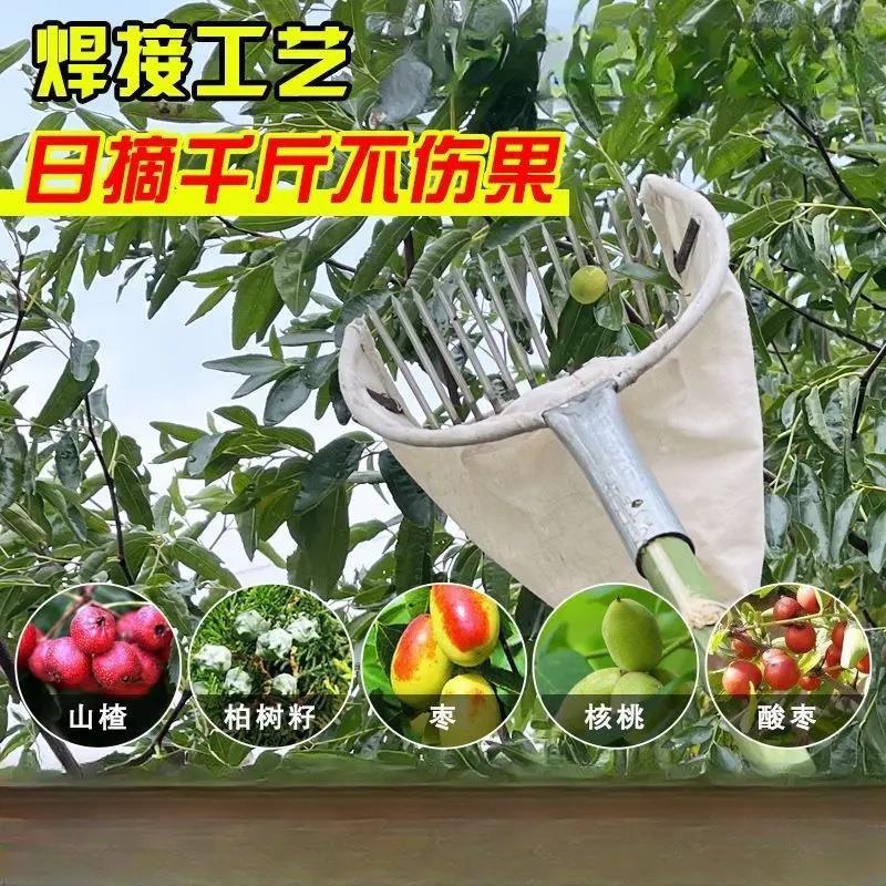 新款摘柏树籽工具摘酸枣工具自动酸枣神器摘柏籽神器采摘神器山枣