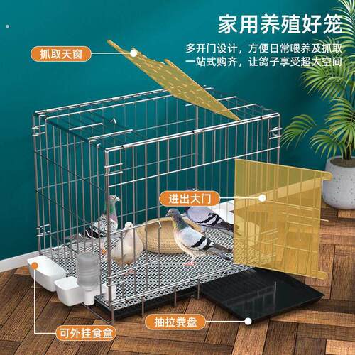 鸡笼子养殖笼鸽子配对笼大号鸽子笼家用带隔断繁殖养殖鸽笼
