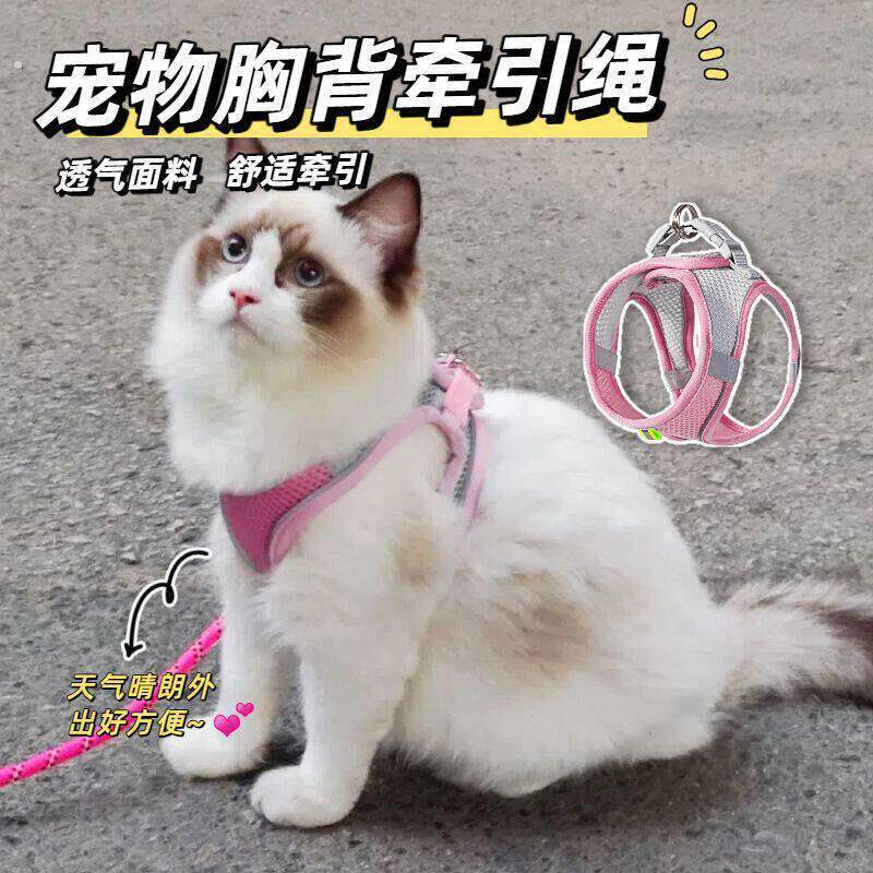 猫咪牵引绳可调节溜猫牵引绳猫绳子猫牵引防挣脱外出专用猫绳背带