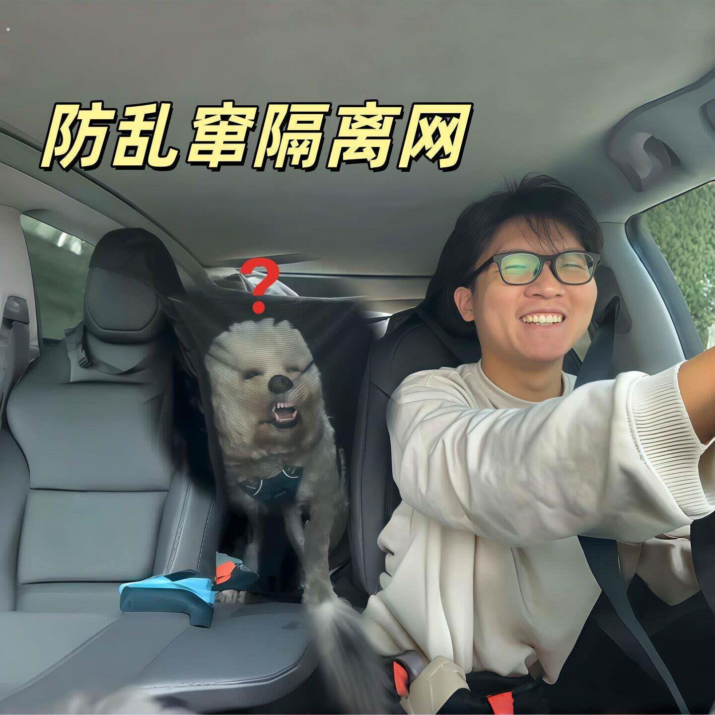 狗狗长途坐车神器汽车前后排隔离网猫咪宠物后排防护网放乱窜护网