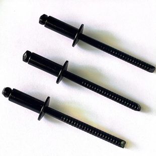 工厂现货精合牌全不锈钢黑色拉铆钉304不锈钢抽芯钉