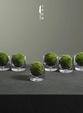 天青苔绿 现代新中式玻璃花器永生苔藓球 样板间茶几展柜书桌摆件