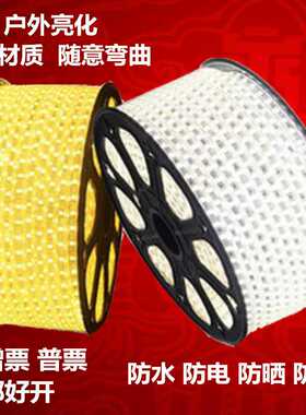 LED50502835柔性软灯带rgb灯条高压防水室内室外户外亮化彩色灯带