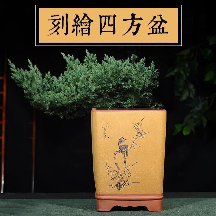 紫砂盆 透气 刻绘四方兰花盆 客厅室内落地款手工紫砂花盆户外盆