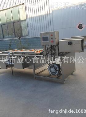 菜叶类蔬菜清洗机 加入去除农药OEZ残留装置 可根 据可要求高效