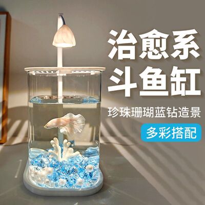 玻璃小鱼缸冰晶石桌面创意生态