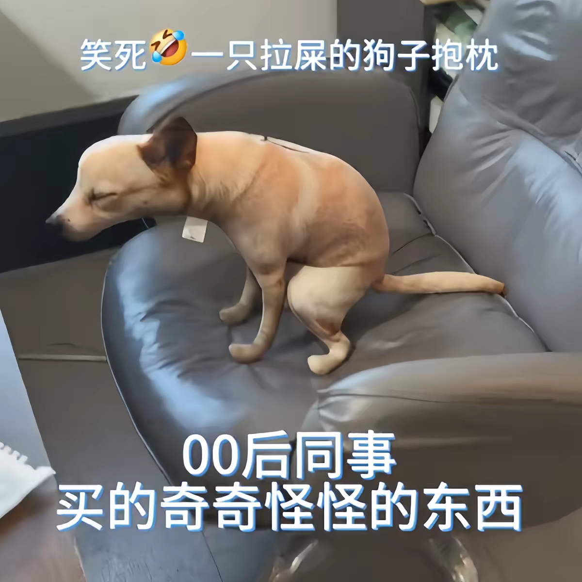 拉屎狗狗毛绒萌趣狗子嗯