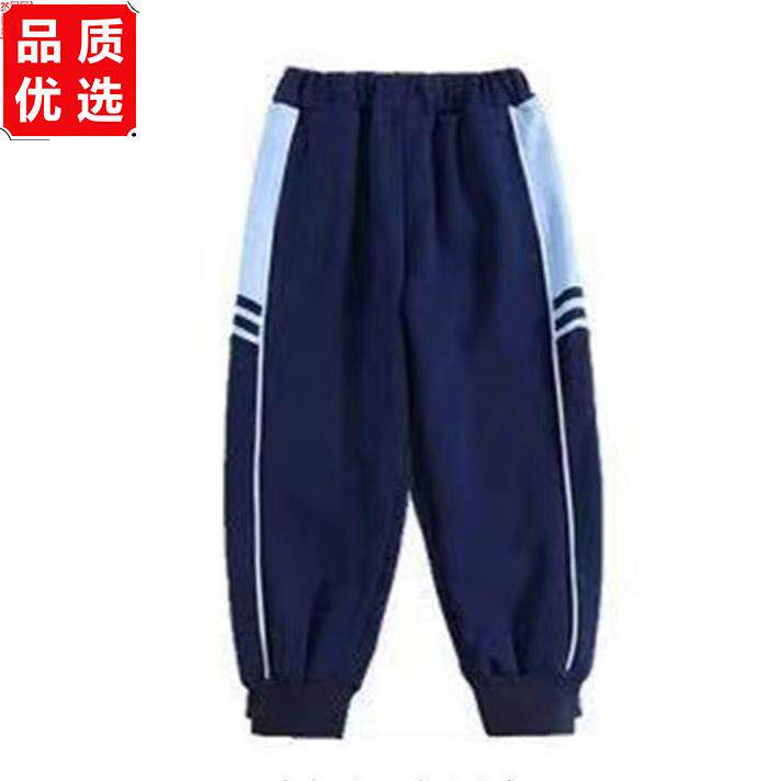 小学生校服套装春秋装两