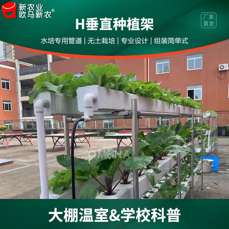 无土栽培设备植物工厂展示实验楼顶水培管道叶菜蔬菜H垂直种植架