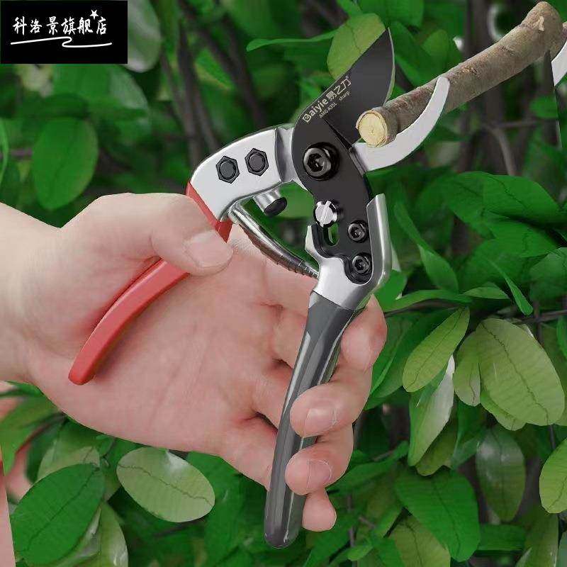 易之力果枝剪弹簧花园剪刀SK5钢刃家用园艺剪园林盆景修枝剪,五金/工具,园艺剪,淘宝优惠券,粉丝福利购,淘宝优惠卷