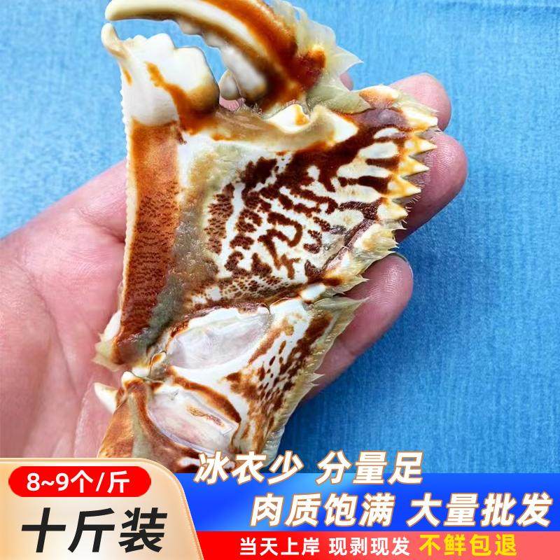 【超大号面包蟹钳十斤】元宝蟹脚新鲜蟹脚东山海鲜蟹腿冰衣20%