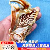 宝蟹脚新鲜蟹脚东山海鲜蟹腿冰衣20% 元 超大号面包蟹钳十斤